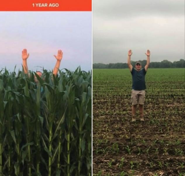 US corn harvest 2019
