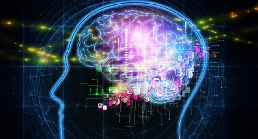 Brain cerebro