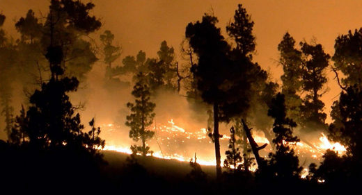 Canarias incendio
