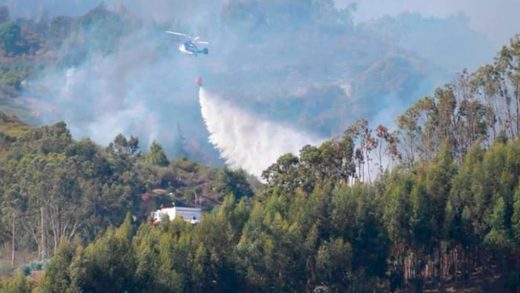 Imagen del incendio de Gran Canaria iniciado en Valleseco. / C7
