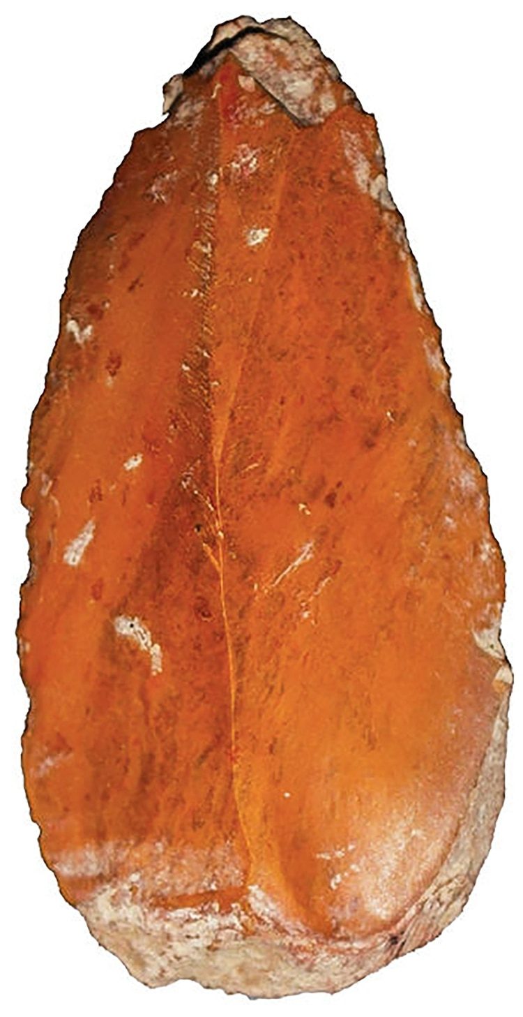 flecha de piedra