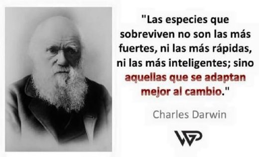 darwin español