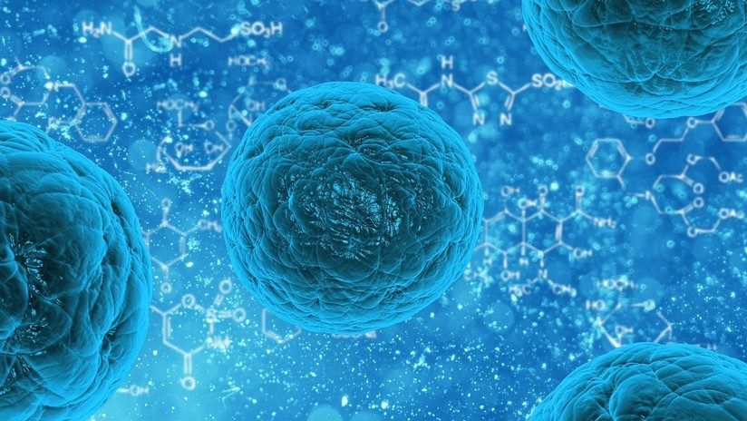 fungus bacteria infection