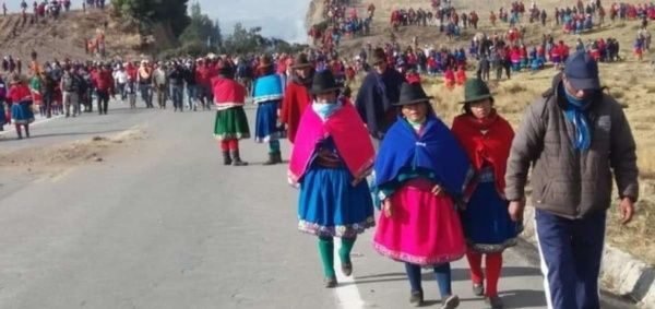 indigenous population ecuador