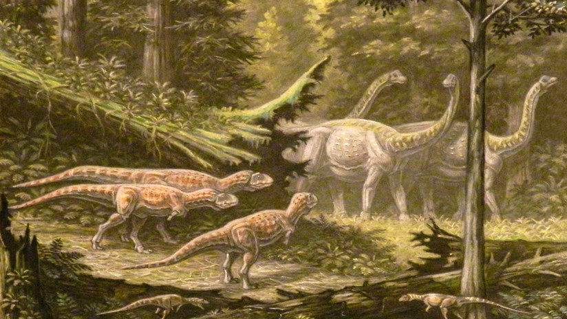 Dinosaurs