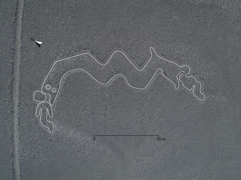 Nazca lines