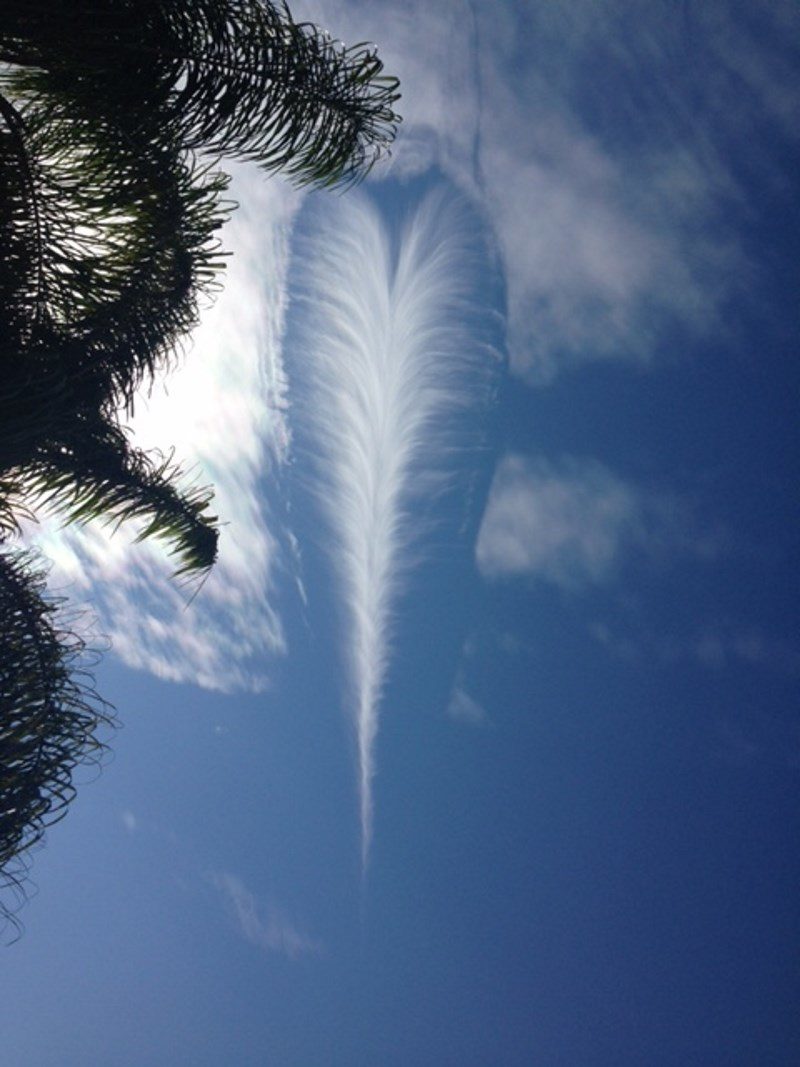 Feathery cloud