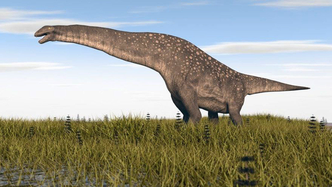 titanosaurio