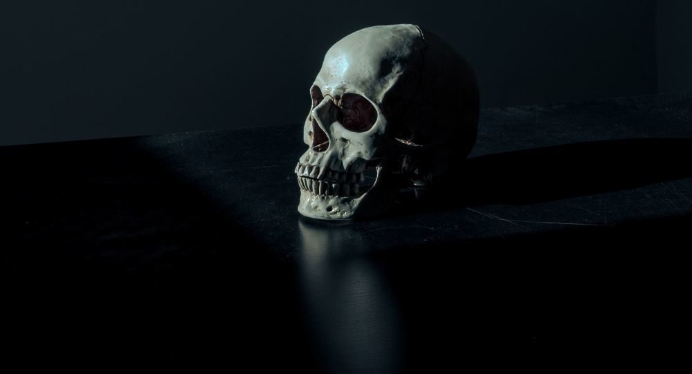 Skull