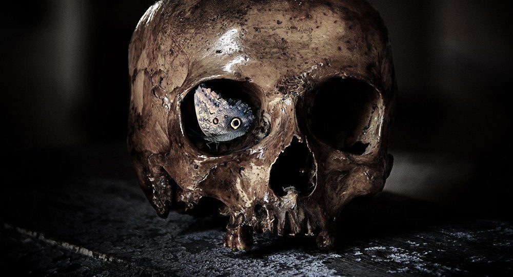 Ancient Skull