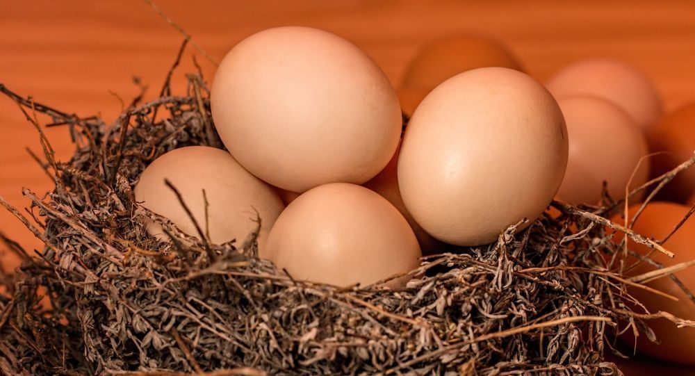 Clic para aumentar huevos