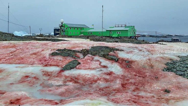 blood red snow antarctic