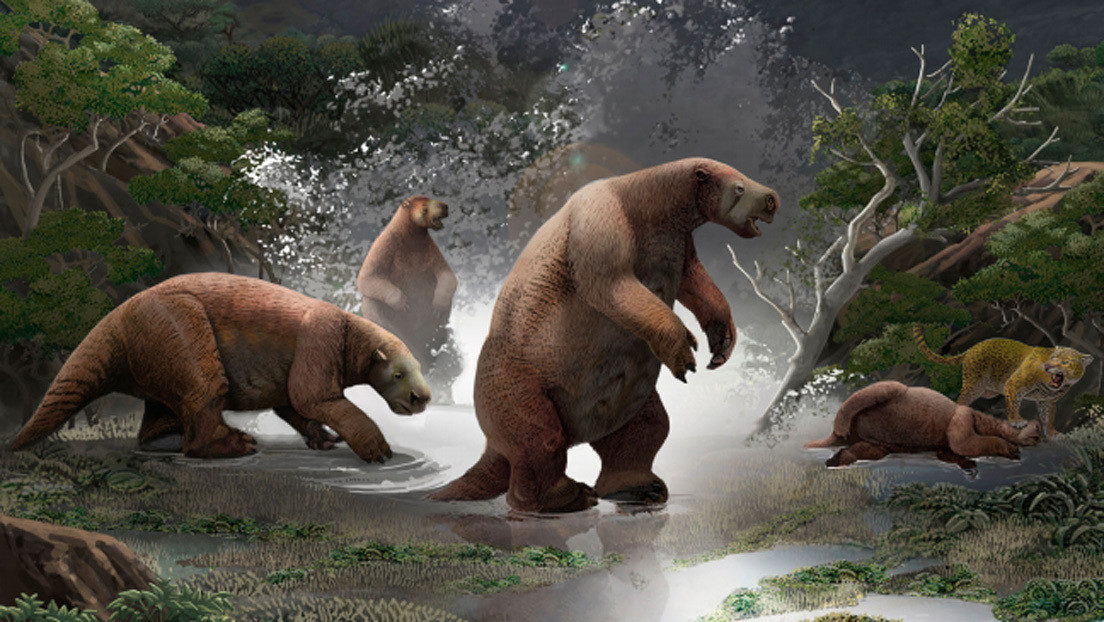South american yeti