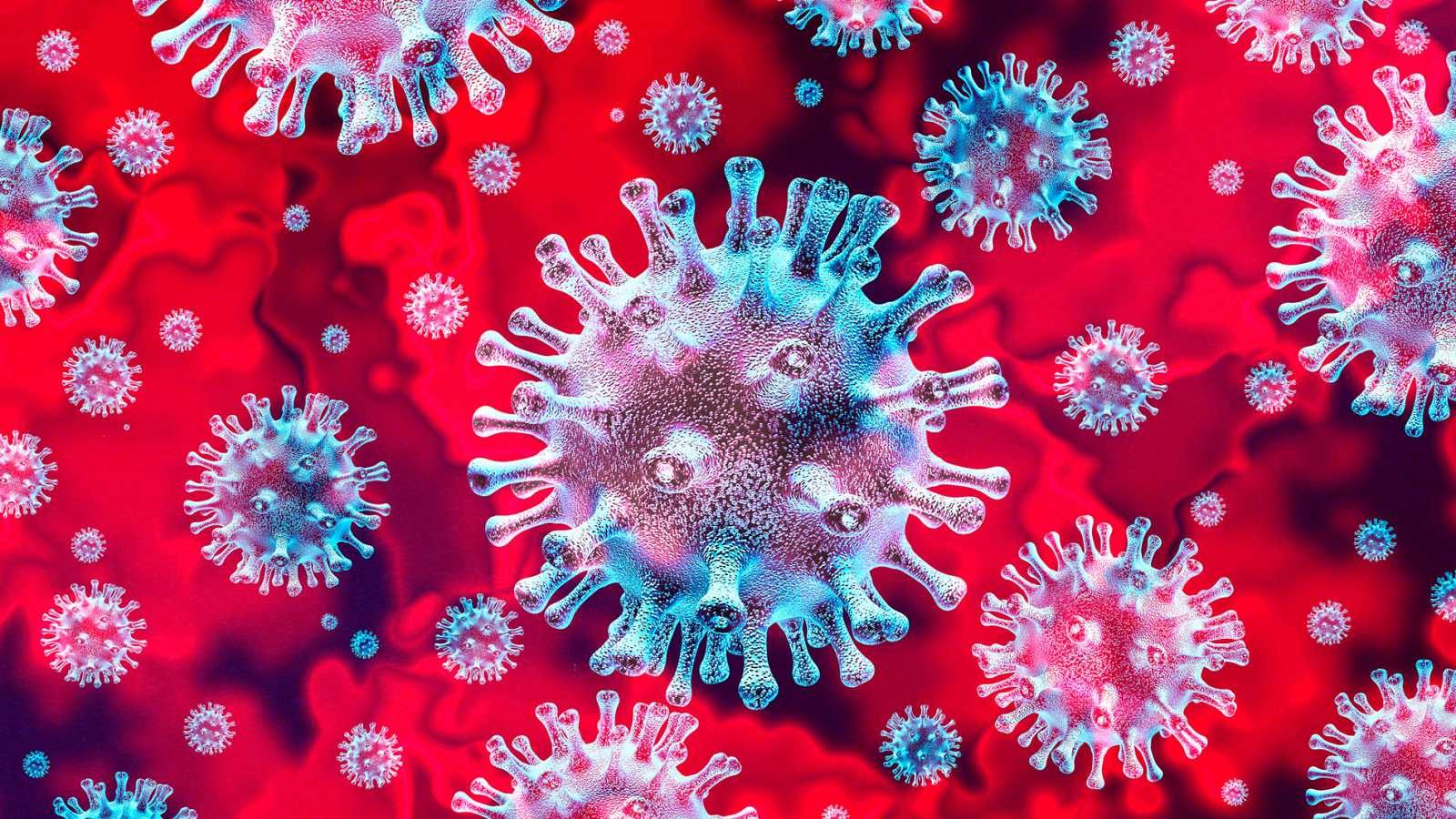 Las otras víctimas del coronavirus