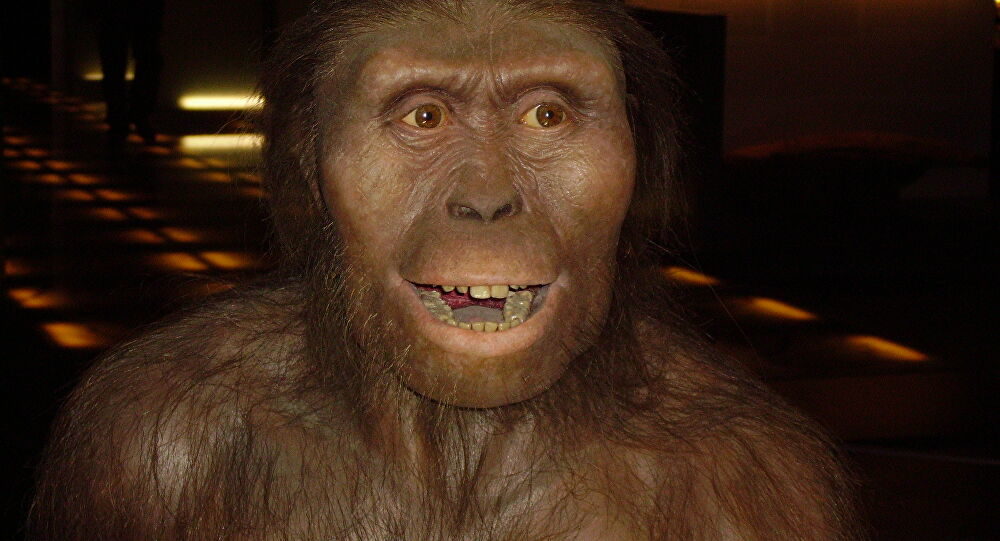 Australopithecus