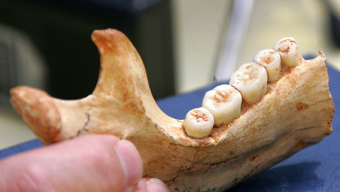 Hueso mandibular