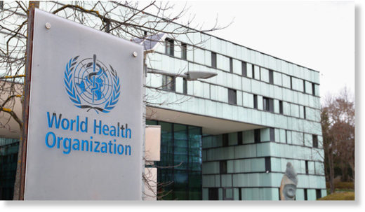 World Health Organization