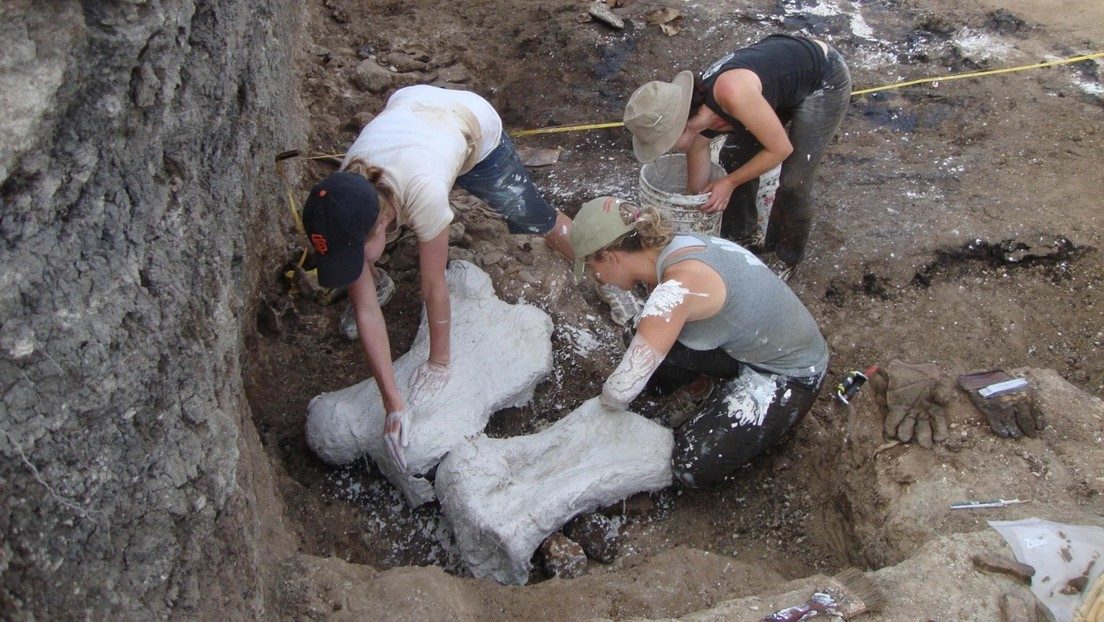Fossil
