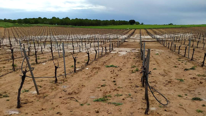 Agroseguro estima daños por la lluvia y el pedrisco en 6.000 hectáreas de Castilla-La Mancha