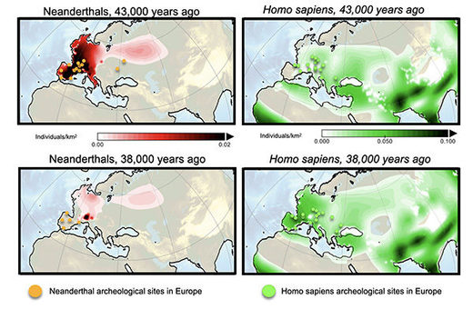 El mapa muestra la expansión de Homo Sapiens y Neandertales por Europa