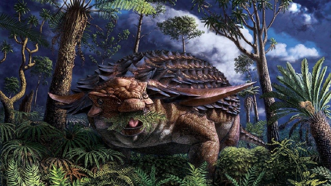 dinosaur