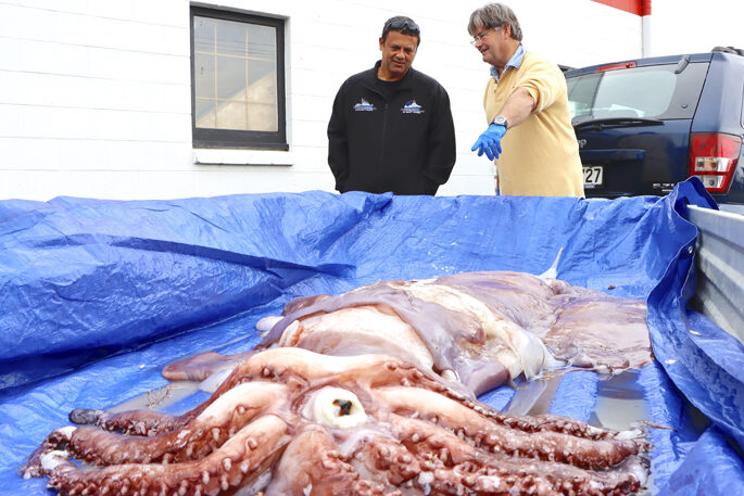 Chris Battershill, right, with Roger Rawlinson who caught the giant squid.