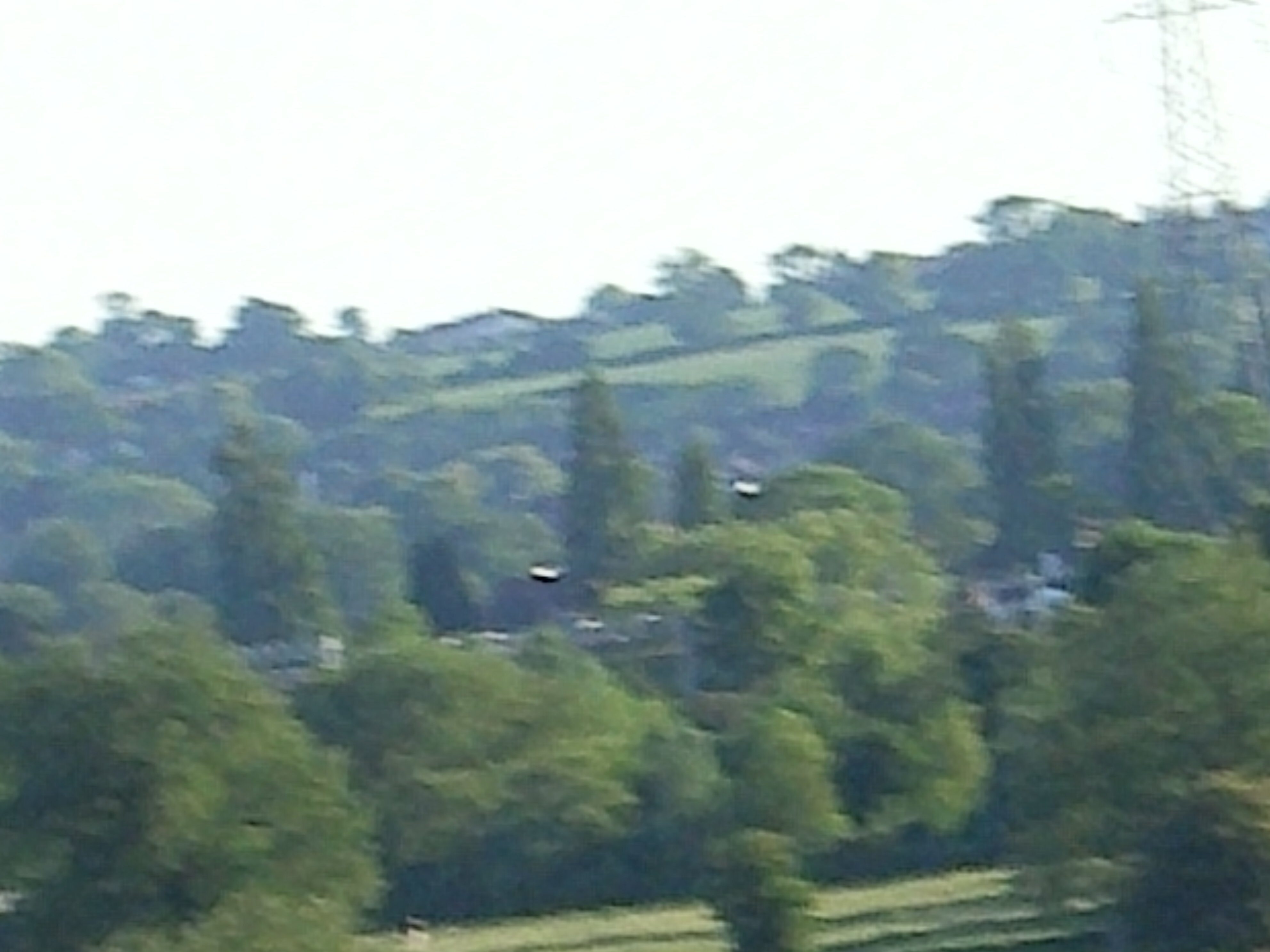 Stafford
