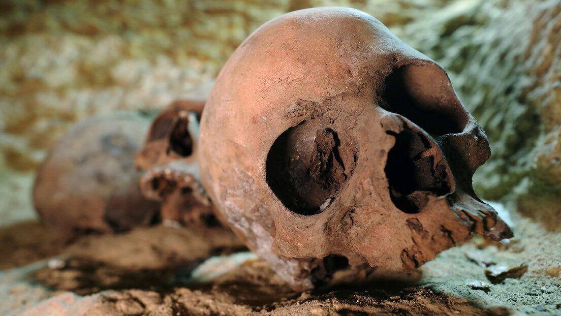 skull