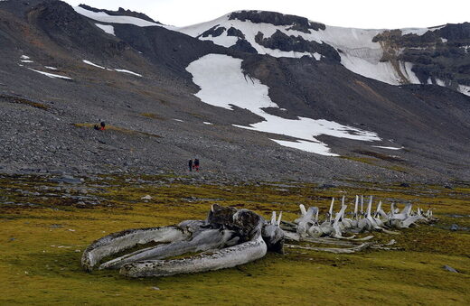 Clic para aumentar Antarctic