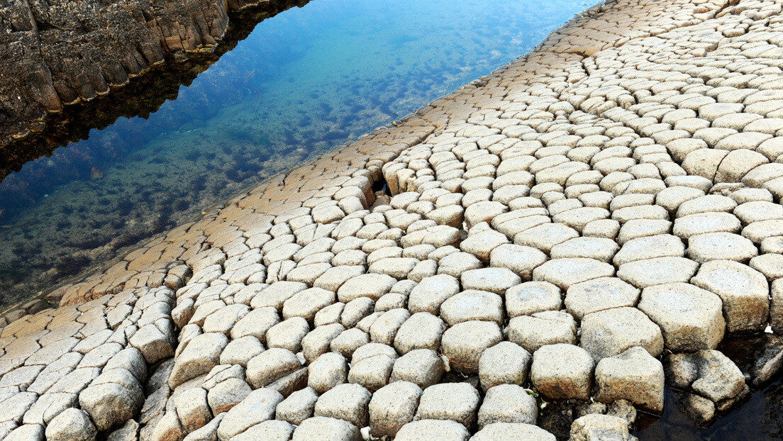 basaltos agrietados de la isla Kunashir