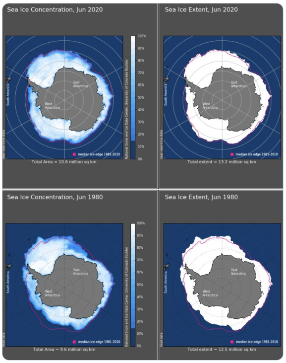 Larger concentration of sea ice in Antarctica in Jun 2020 than Jun 1980