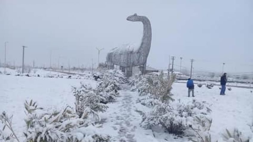 La Patagonia argentina, cubierta de nieve: temperaturas de 20 grados bajo cero