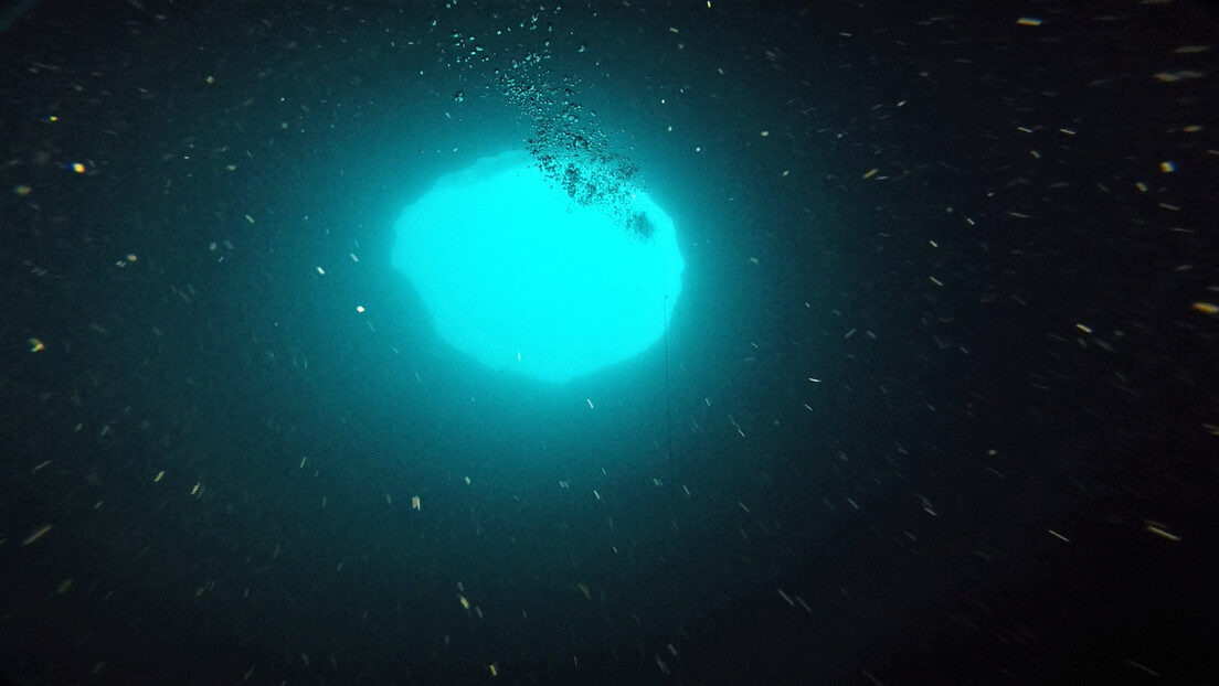 amberjack hole