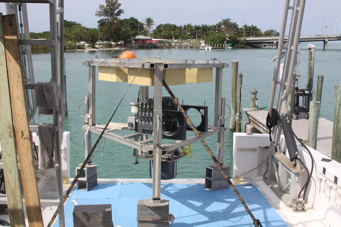 Clic para aumentar amberjack hole