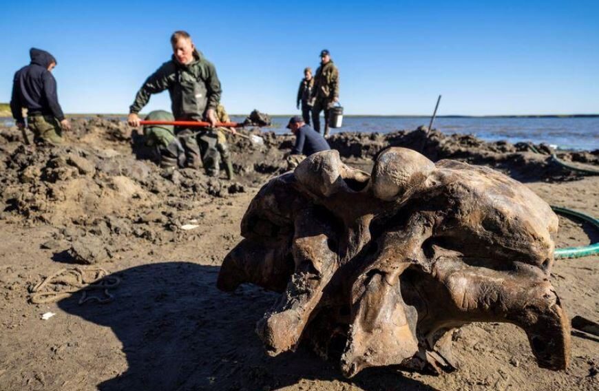 Gobierno del distrito de Yamalo-Nenets/Handout via REUTERS