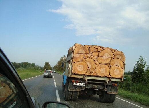 Clic para aumentar A short proof of the Wood-Packing Theorem