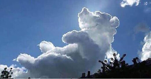 Clic para aumentar Winnie-the-Pooh
