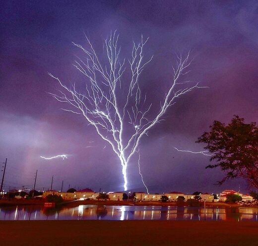 Clic para aumentar Tree of Light