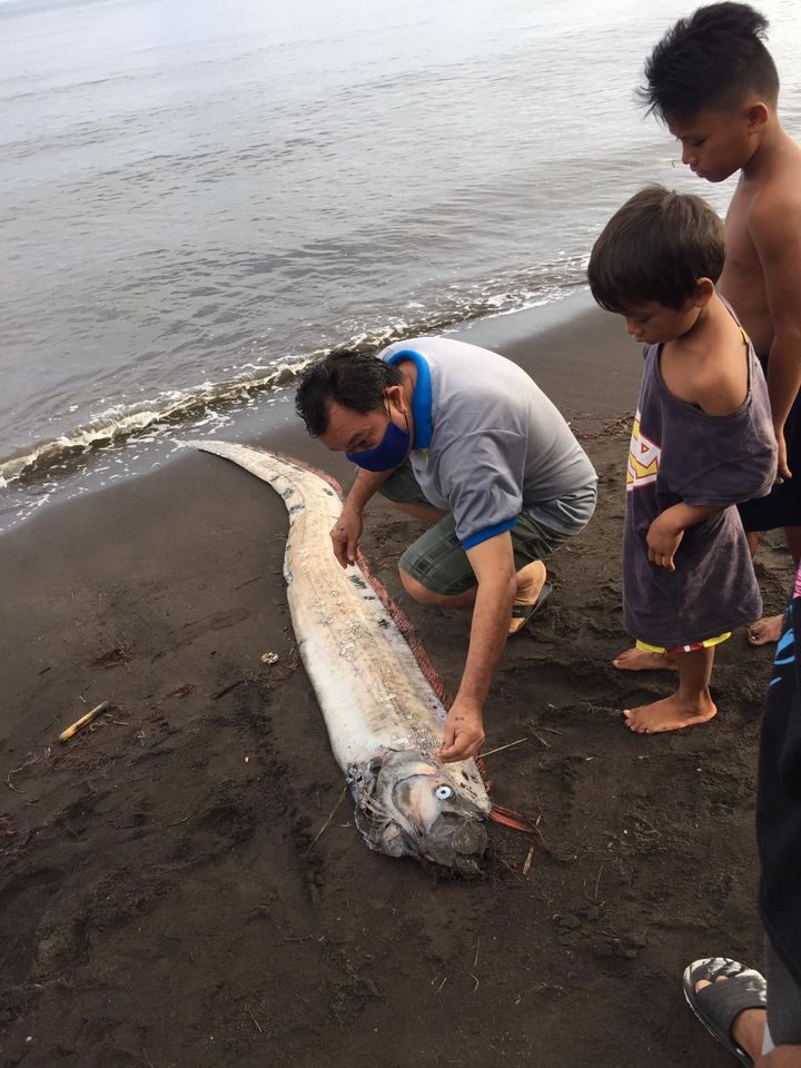 Residents in Barangay 19 of Gingoog City, Misamis Oriental spotted on Thursday morning, August 20, a 3.2-meter oarfish that washed ashore in their coasts.