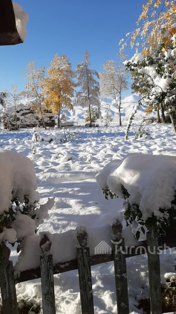 snow