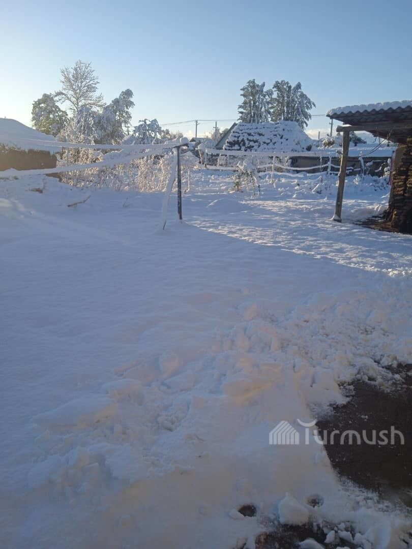 snow