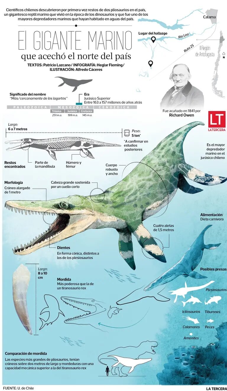 Chile,colosal reptil marino,era de los dinosaurios