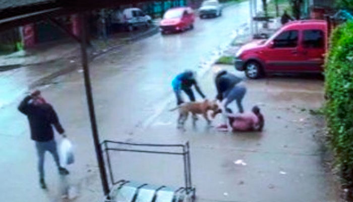 Brutal ataque de un perro pitbull a una nena en San Miguel, Argentina