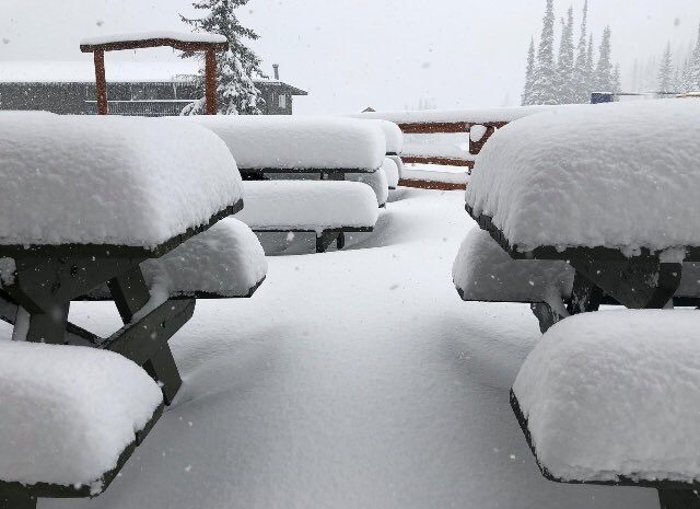 A recent dump of snow in the Thompson-Okanagan has the four major ski resorts in the region likely has skiers and snowboarders excited for opening day.