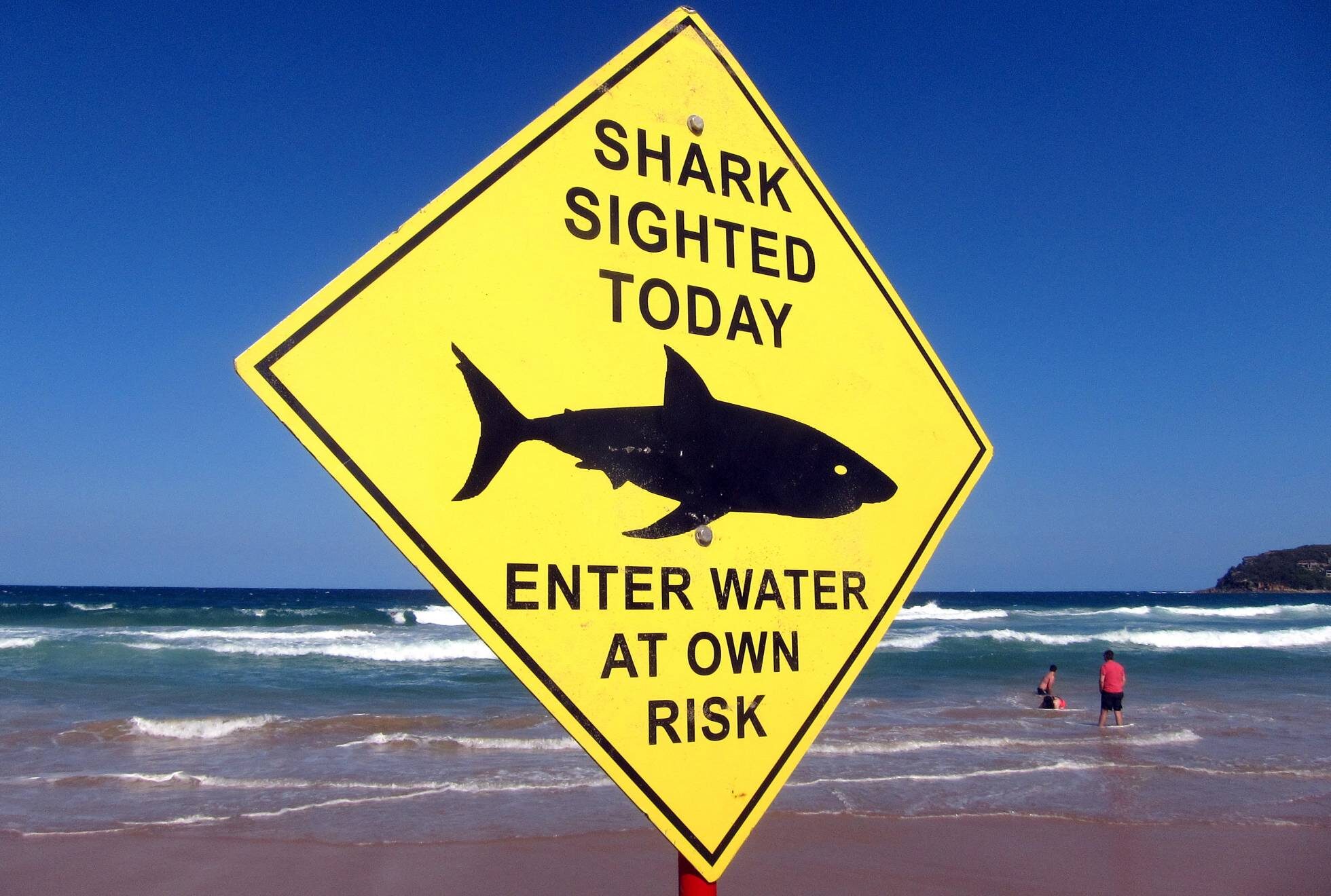Un cartel advierte de la presencia de tiburones en la playa de Manly, en Sídney.