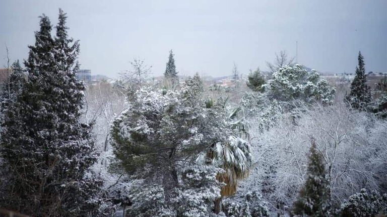 Clic para aumentar The first snow of the season was registered in Ciudad Juarez