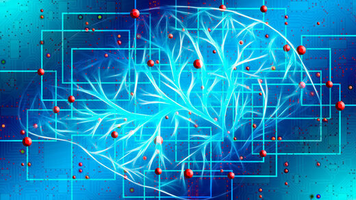 Estudio: Identifican la posible ubicación física de la conciencia (y no se encuentra en el cerebro)