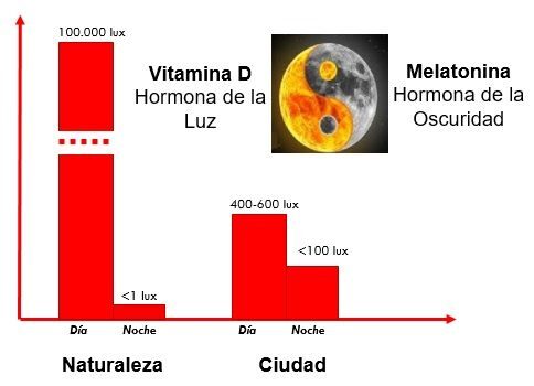 Nuestro cuerpo espera una gran diferencia de luz entre el día y la noche para sincronizar el ritmo circadiano