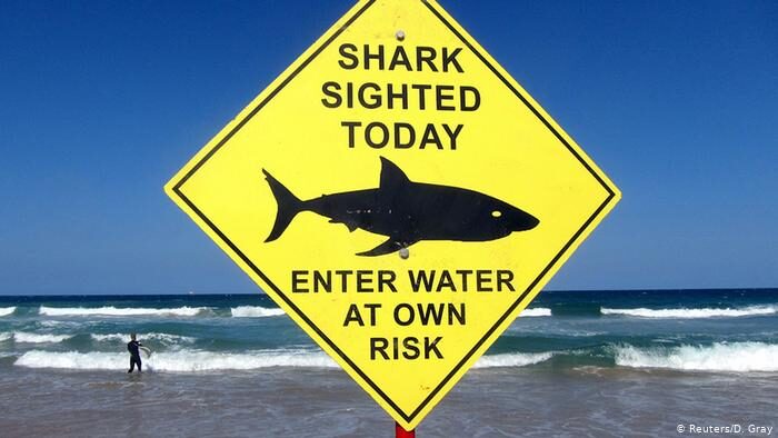 Información que advierte sobre el avistamiento de un tiburón