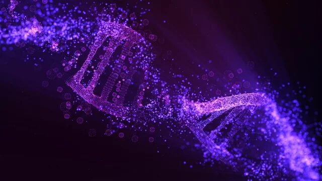 dna gene